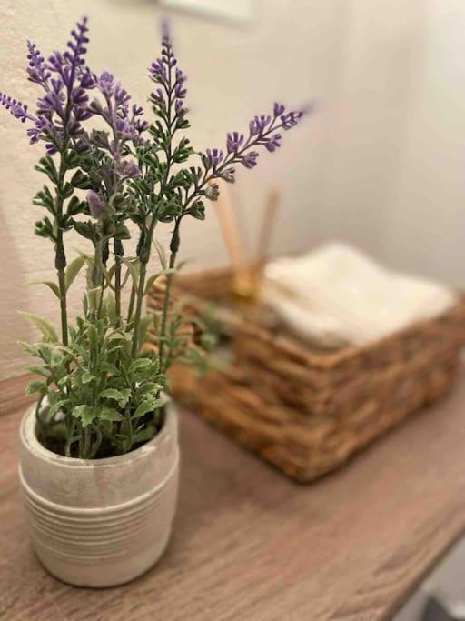 Zentrale Wohnung Gmunden Alte Baeckerei ภายนอก รูปภาพ