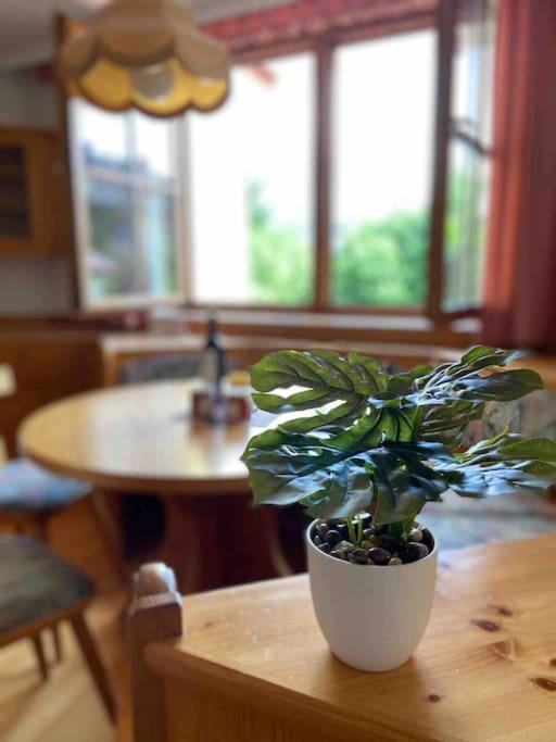 Zentrale Wohnung Gmunden Alte Baeckerei ภายนอก รูปภาพ