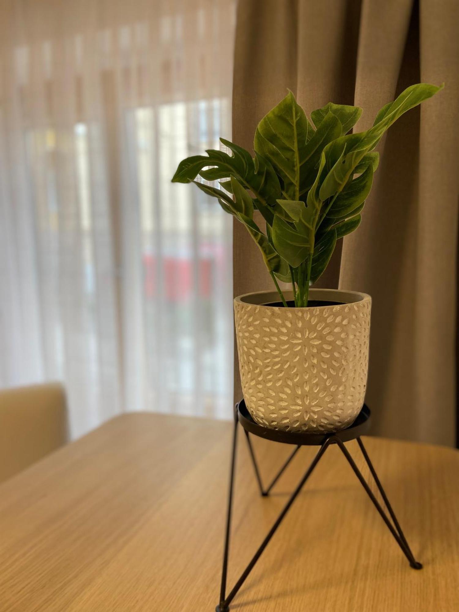 Zentrale Wohnung Gmunden Alte Baeckerei ภายนอก รูปภาพ